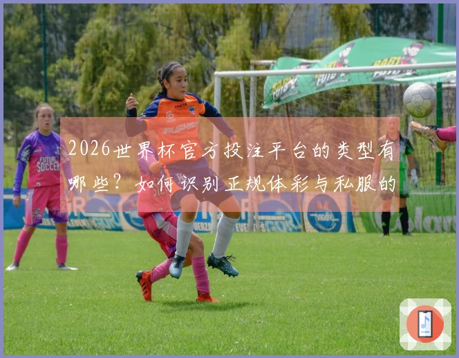 2026世界杯官方投注平台的类型有哪些？如何识别正规体彩与私服的区别？