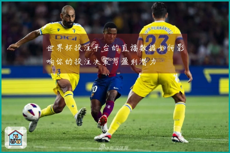 世界杯投注平台的直播数据如何影响你的投注决策与盈利潜力