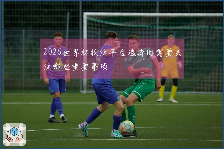 2026世界杯投注平台选择时需要关注哪些重要事项